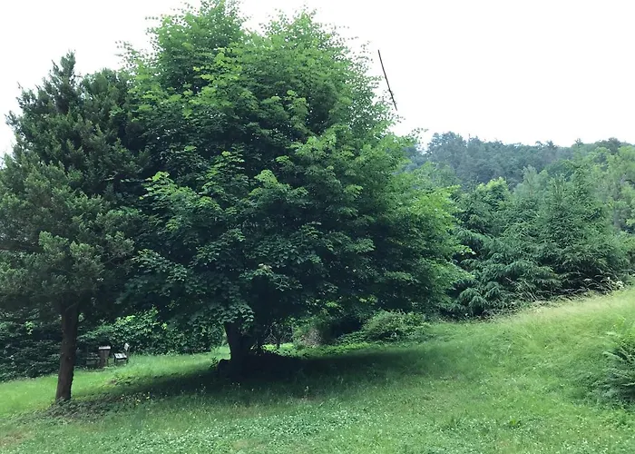 Apartmany Janska 公寓